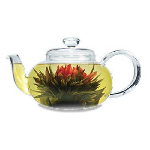 Primula Lea Teapot, 20 Oz, Includes Glass Loose Leaf Tea Infuser